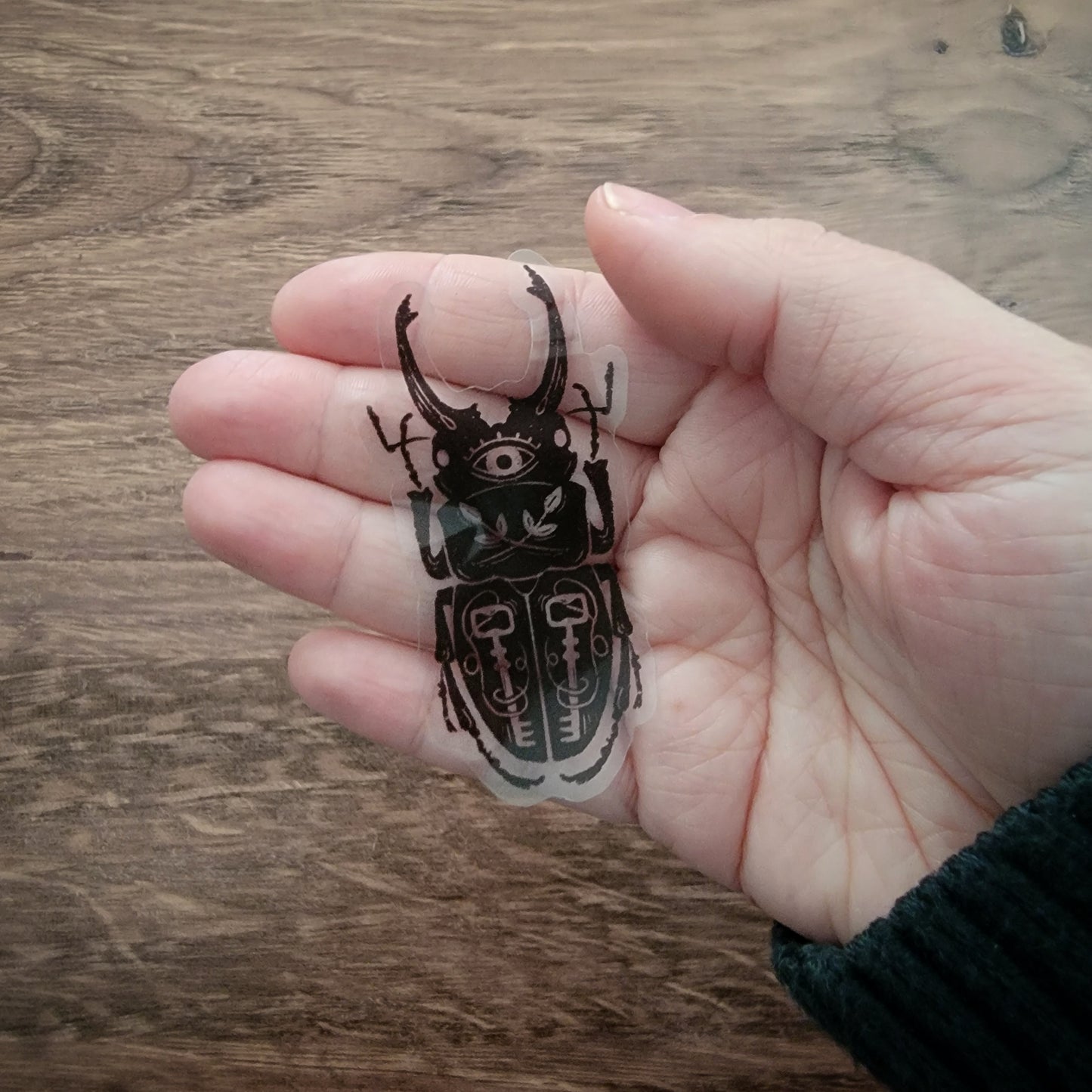 Beetle Clear Vinyl Sticker
