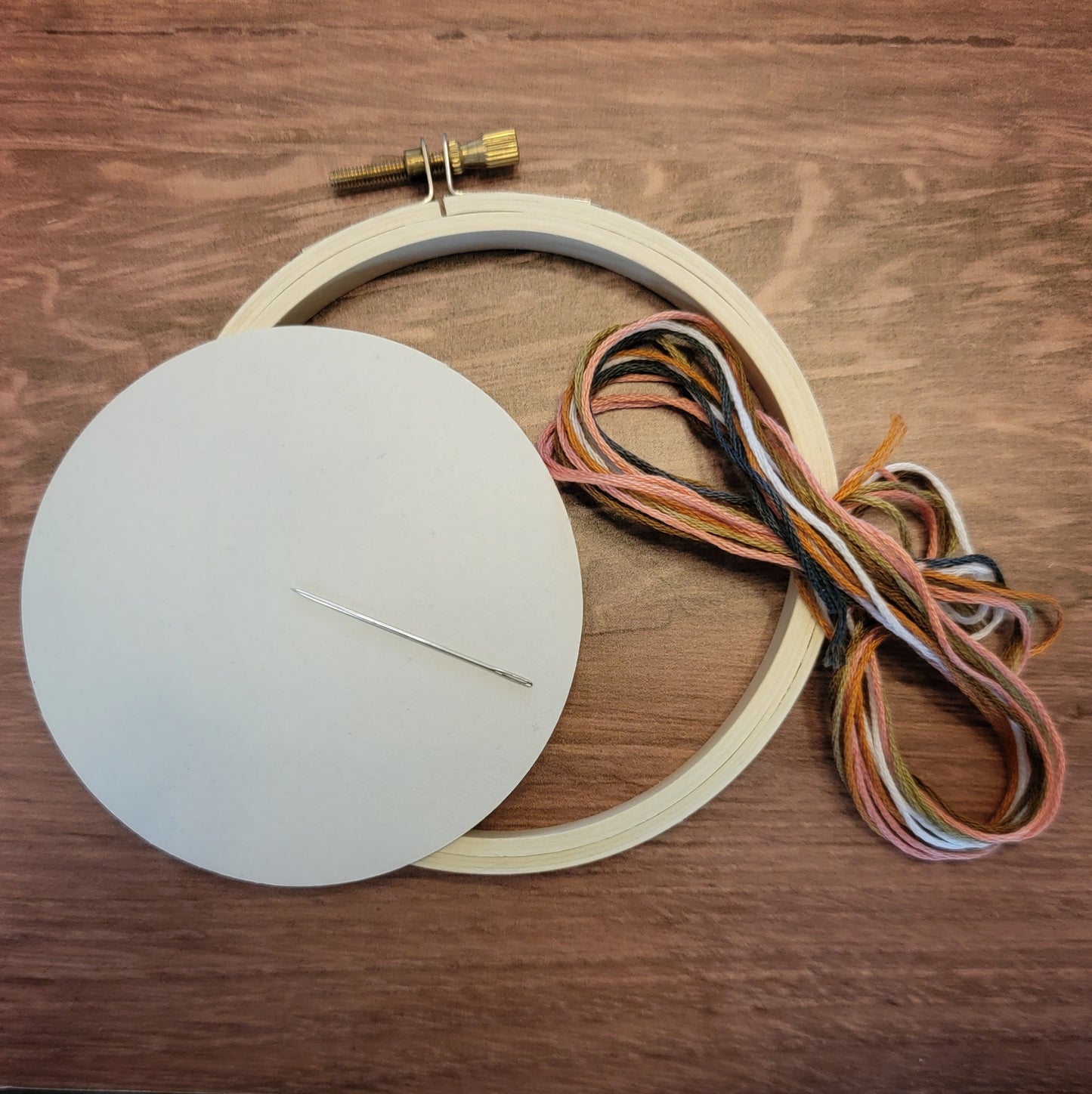Frog Embroidery Kit